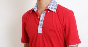 - T-shirt with shirt neck T32