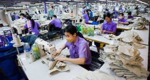 Thuan Phuong Garment