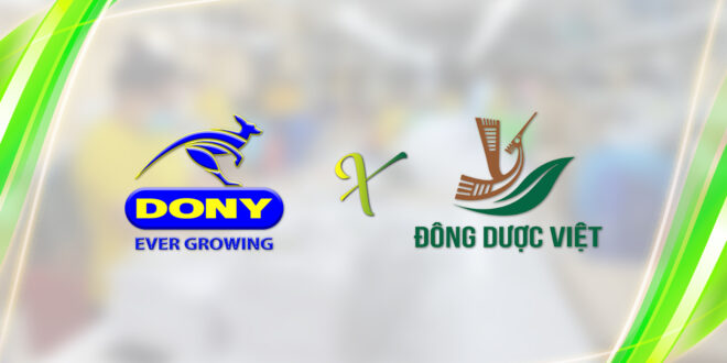 - Uniform Shirts For Dong Duoc Viet International Standard Herbal Production Company