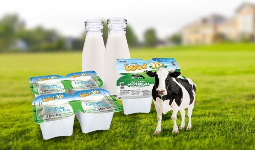 Wel Yo Yogurt