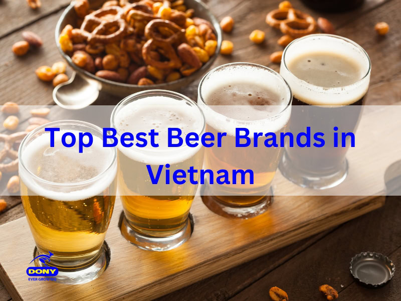 Best Beer Brands in Vietnam