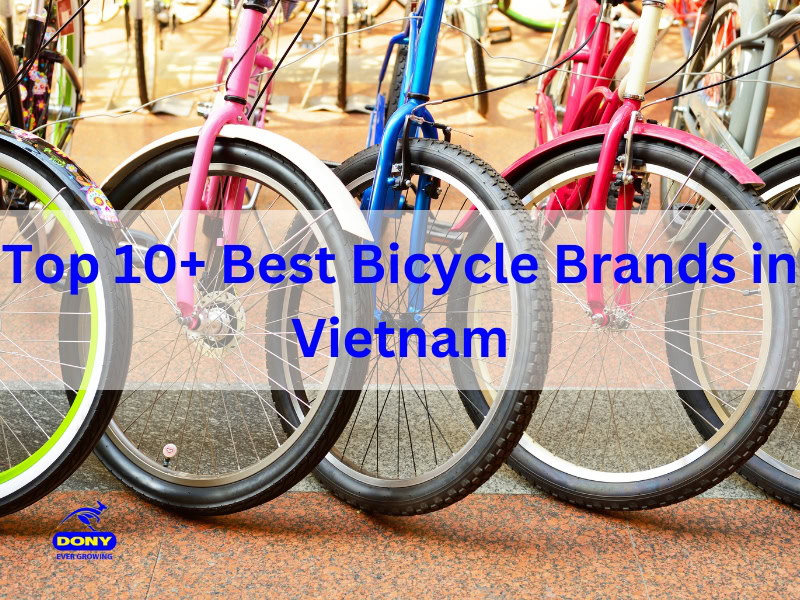 Best Bicycle Brands in Vietnam
